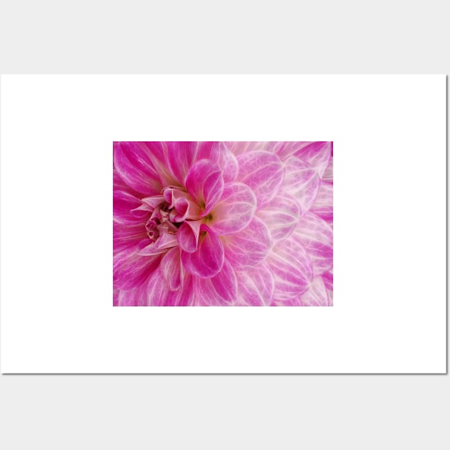 closeup macro photography of bright red dahlia bloom Wall Art by mister-john